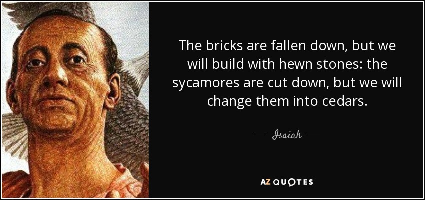 The bricks are fallen down, but we will build with hewn stones: the sycamores are cut down, but we will change them into cedars. - Isaiah