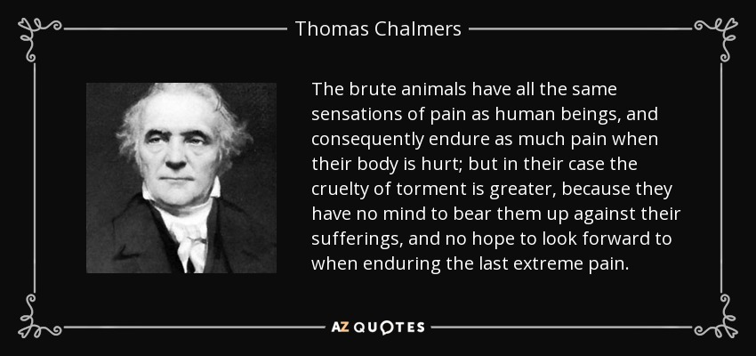 The brute animals have all the same sensations of pain as human beings, and consequently endure as much pain when their body is hurt; but in their case the cruelty of torment is greater, because they have no mind to bear them up against their sufferings, and no hope to look forward to when enduring the last extreme pain. - Thomas Chalmers