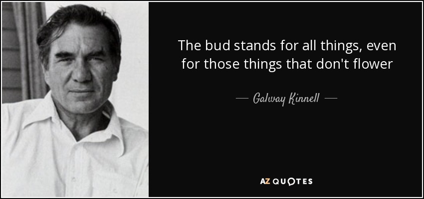 The bud stands for all things, even for those things that don't flower - Galway Kinnell