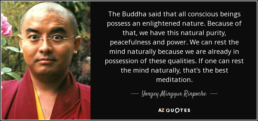 The Buddha said that all conscious beings possess an enlightened nature. Because of that, we have this natural purity, peacefulness and power. We can rest the mind naturally because we are already in possession of these qualities. If one can rest the mind naturally, that's the best meditation. - Yongey Mingyur Rinpoche