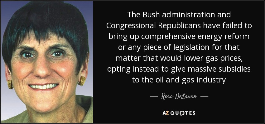 The Bush administration and Congressional Republicans have failed to bring up comprehensive energy reform or any piece of legislation for that matter that would lower gas prices, opting instead to give massive subsidies to the oil and gas industry - Rosa DeLauro