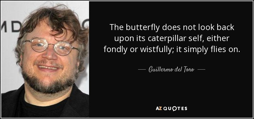 The butterfly does not look back upon its caterpillar self, either fondly or wistfully; it simply flies on. - Guillermo del Toro