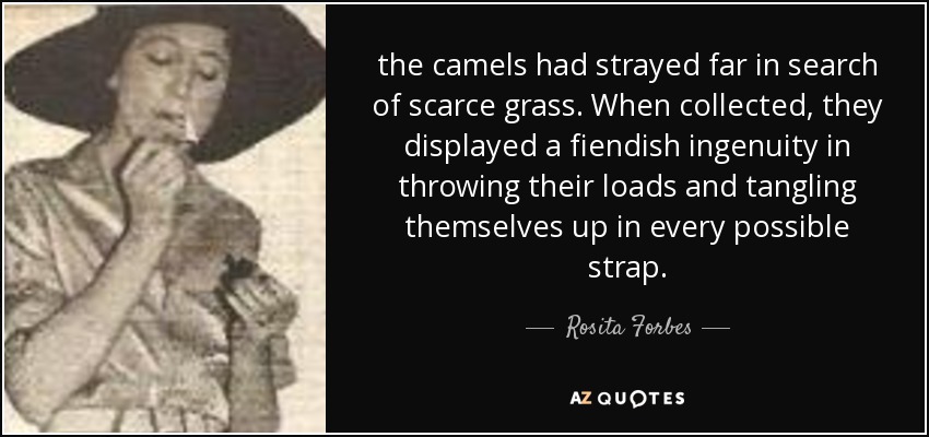 the camels had strayed far in search of scarce grass. When collected, they displayed a fiendish ingenuity in throwing their loads and tangling themselves up in every possible strap. - Rosita Forbes