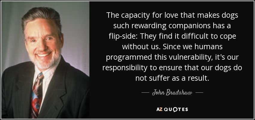 The capacity for love that makes dogs such rewarding companions has a flip-side: They find it difficult to cope without us. Since we humans programmed this vulnerability, it's our responsibility to ensure that our dogs do not suffer as a result. - John Bradshaw