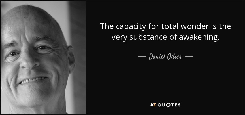 The capacity for total wonder is the very substance of awakening. - Daniel Odier
