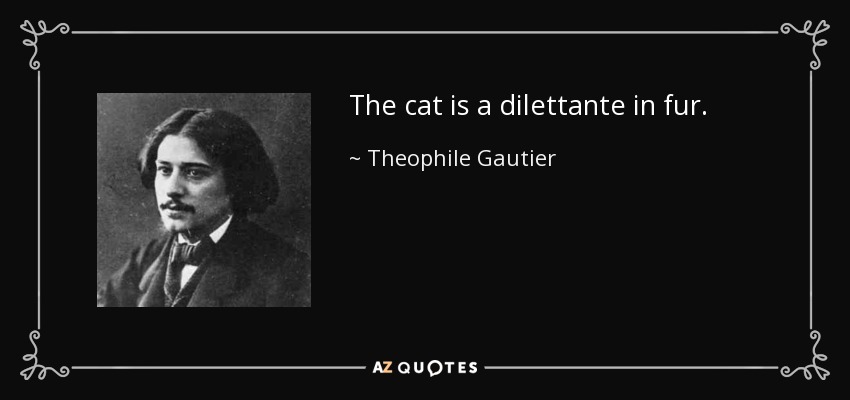 The cat is a dilettante in fur. - Theophile Gautier