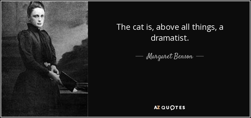 The cat is, above all things, a dramatist. - Margaret Benson