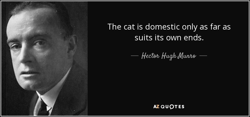 The cat is domestic only as far as suits its own ends. - Hector Hugh Munro