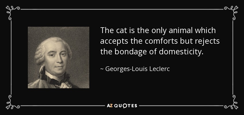 The cat is the only animal which accepts the comforts but rejects the bondage of domesticity. - Georges-Louis Leclerc, Comte de Buffon