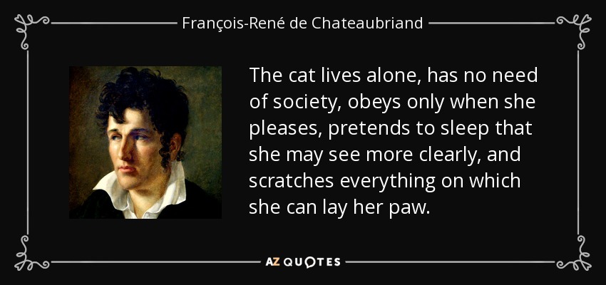 The cat lives alone, has no need of society, obeys only when she pleases, pretends to sleep that she may see more clearly, and scratches everything on which she can lay her paw. - François-René de Chateaubriand
