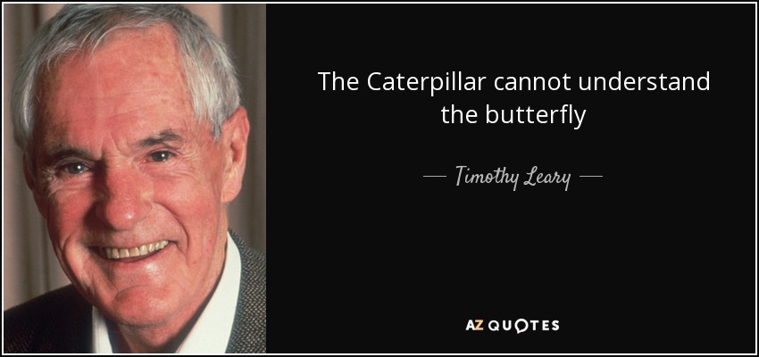 The Caterpillar cannot understand the butterfly - Timothy Leary