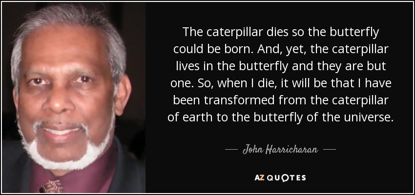 The caterpillar dies so the butterfly could be born. And, yet, the caterpillar lives in the butterfly and they are but one. So, when I die, it will be that I have been transformed from the caterpillar of earth to the butterfly of the universe. - John Harricharan