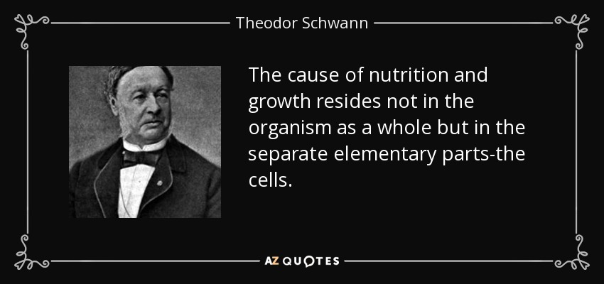 The cause of nutrition and growth resides not in the organism as a whole but in the separate elementary parts-the cells. - Theodor Schwann