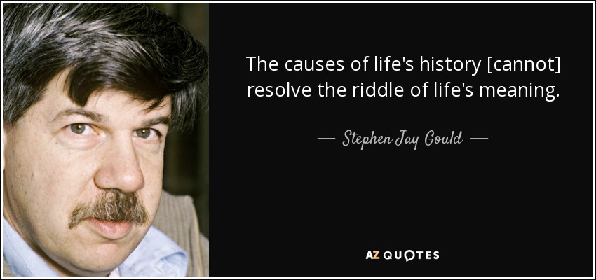 The causes of life's history [cannot] resolve the riddle of life's meaning. - Stephen Jay Gould