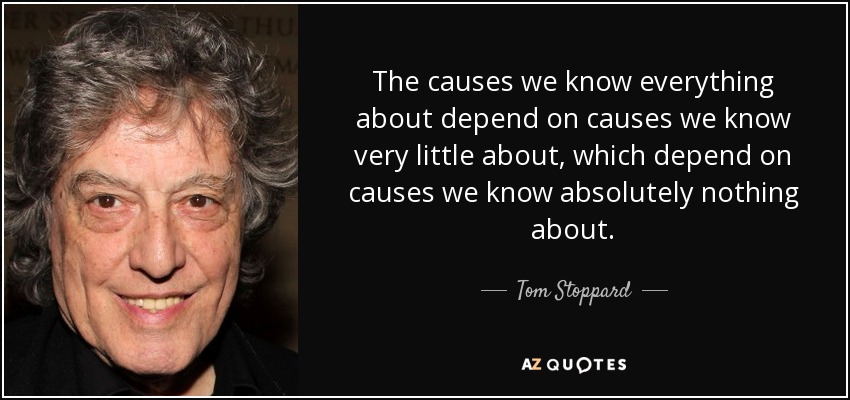 The causes we know everything about depend on causes we know very little about, which depend on causes we know absolutely nothing about. - Tom Stoppard