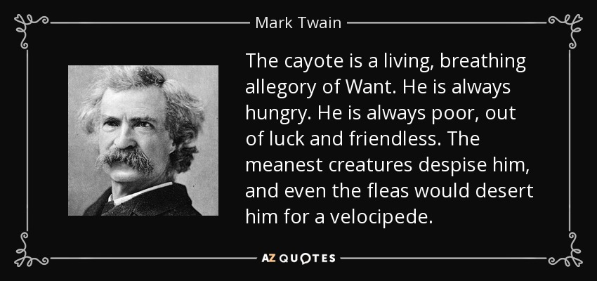 The cayote is a living, breathing allegory of Want. He is always hungry. He is always poor, out of luck and friendless. The meanest creatures despise him, and even the fleas would desert him for a velocipede. - Mark Twain