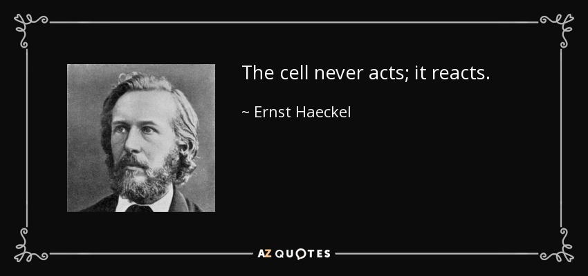 The cell never acts; it reacts. - Ernst Haeckel