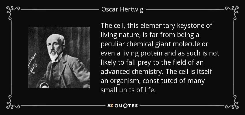 The cell, this elementary keystone of living nature, is far from being a peculiar chemical giant molecule or even a living protein and as such is not likely to fall prey to the field of an advanced chemistry. The cell is itself an organism, constituted of many small units of life. - Oscar Hertwig