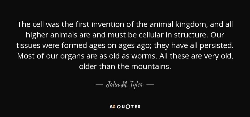The cell was the first invention of the animal kingdom, and all higher animals are and must be cellular in structure. Our tissues were formed ages on ages ago; they have all persisted. Most of our organs are as old as worms. All these are very old, older than the mountains. - John M. Tyler