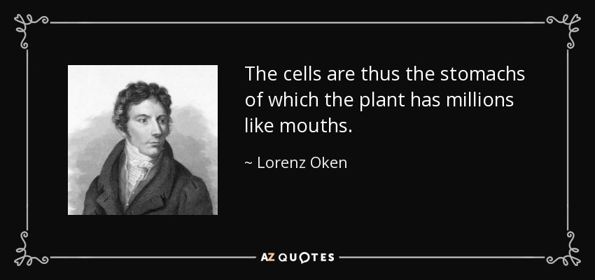 The cells are thus the stomachs of which the plant has millions like mouths. - Lorenz Oken