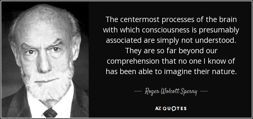 The centermost processes of the brain with which consciousness is presumably associated are simply not understood. They are so far beyond our comprehension that no one I know of has been able to imagine their nature. - Roger Wolcott Sperry