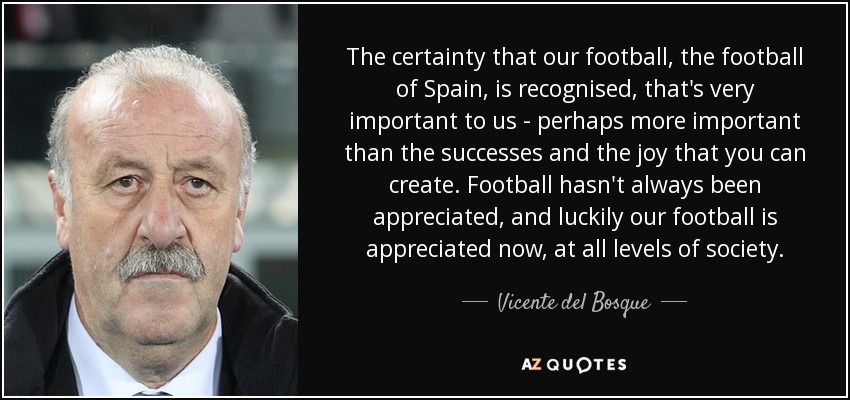 The certainty that our football, the football of Spain, is recognised, that's very important to us - perhaps more important than the successes and the joy that you can create. Football hasn't always been appreciated, and luckily our football is appreciated now, at all levels of society. - Vicente del Bosque