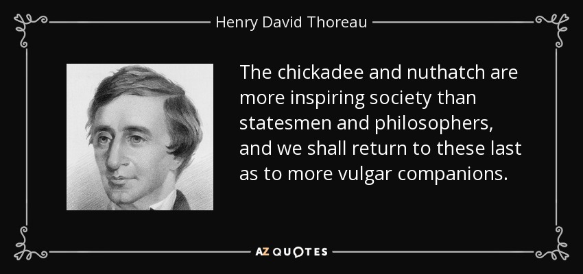 The chickadee and nuthatch are more inspiring society than statesmen and philosophers, and we shall return to these last as to more vulgar companions. - Henry David Thoreau