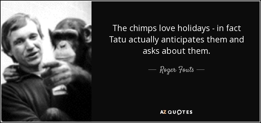 The chimps love holidays - in fact Tatu actually anticipates them and asks about them. - Roger Fouts