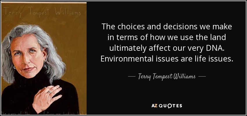 The choices and decisions we make in terms of how we use the land ultimately affect our very DNA. Environmental issues are life issues. - Terry Tempest Williams