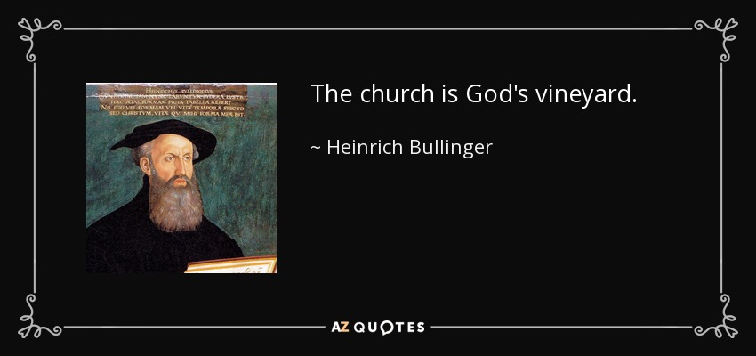 The church is God's vineyard. - Heinrich Bullinger