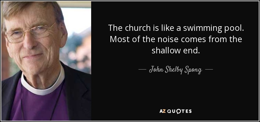 The church is like a swimming pool. Most of the noise comes from the shallow end. - John Shelby Spong