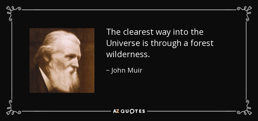 The clearest way into the Universe is through a forest wilderness. - John Muir