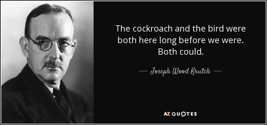 The cockroach and the bird were both here long before we were. Both could. - Joseph Wood Krutch