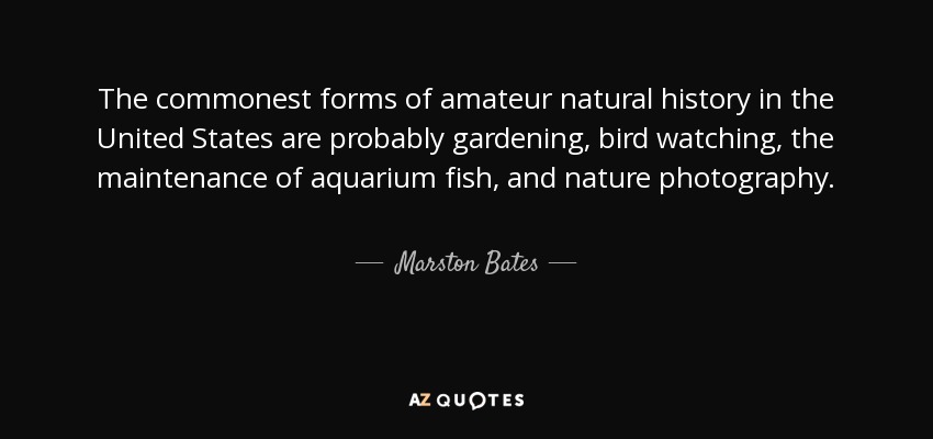 The commonest forms of amateur natural history in the United States are probably gardening, bird watching, the maintenance of aquarium fish, and nature photography. - Marston Bates