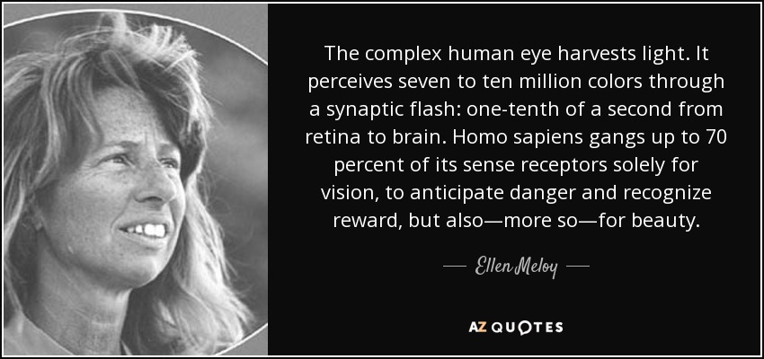 The complex human eye harvests light. It perceives seven to ten million colors through a synaptic flash: one-tenth of a second from retina to brain. Homo sapiens gangs up to 70 percent of its sense receptors solely for vision, to anticipate danger and recognize reward, but also—more so—for beauty. - Ellen Meloy