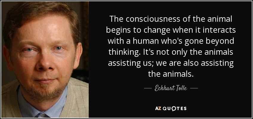 The consciousness of the animal begins to change when it interacts with a human who's gone beyond thinking. It's not only the animals assisting us; we are also assisting the animals. - Eckhart Tolle