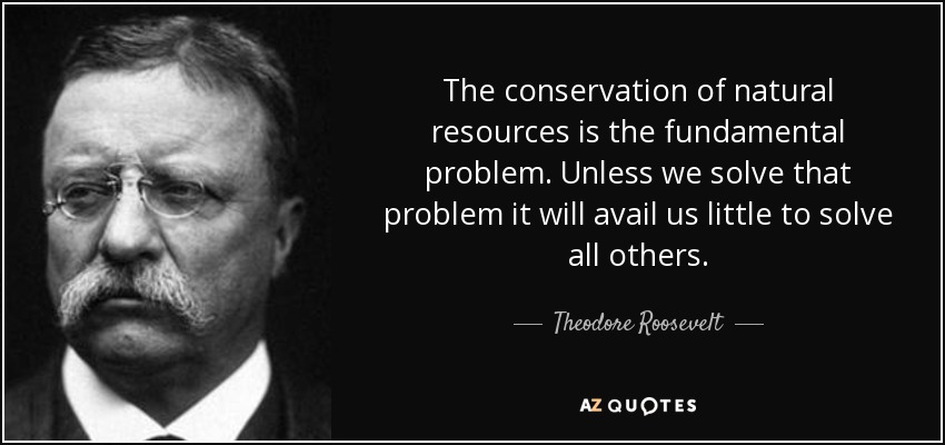 The conservation of natural resources is the fundamental problem. Unless we solve that problem it will avail us little to solve all others. - Theodore Roosevelt