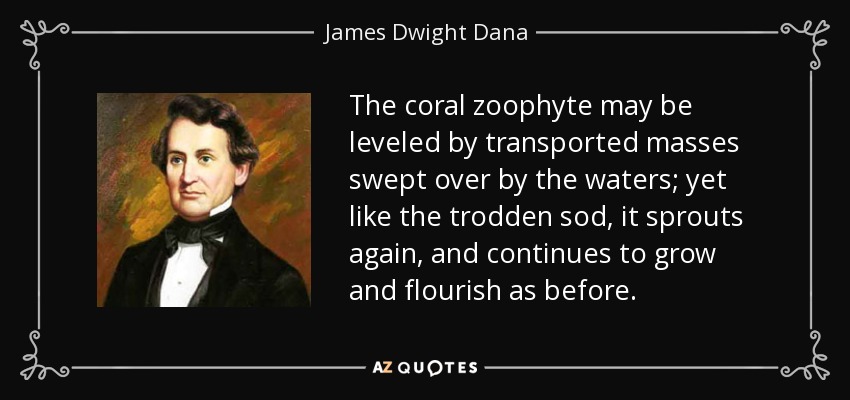 The coral zoophyte may be leveled by transported masses swept over by the waters; yet like the trodden sod, it sprouts again, and continues to grow and flourish as before. - James Dwight Dana