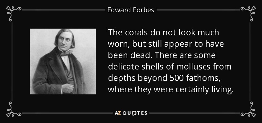 The corals do not look much worn, but still appear to have been dead. There are some delicate shells of molluscs from depths beyond 500 fathoms, where they were certainly living. - Edward Forbes