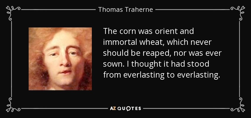 The corn was orient and immortal wheat, which never should be reaped, nor was ever sown. I thought it had stood from everlasting to everlasting. - Thomas Traherne