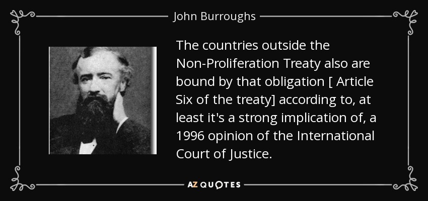 The countries outside the Non-Proliferation Treaty also are bound by that obligation [ Article Six of the treaty] according to, at least it's a strong implication of, a 1996 opinion of the International Court of Justice. - John Burroughs