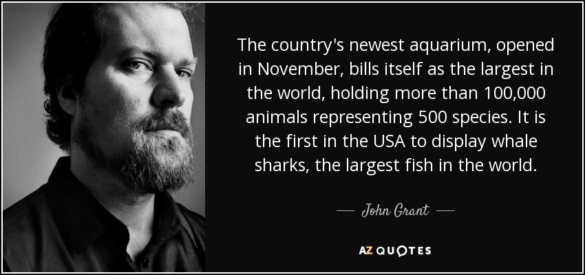 The country's newest aquarium, opened in November, bills itself as the largest in the world, holding more than 100,000 animals representing 500 species. It is the first in the USA to display whale sharks, the largest fish in the world. - John Grant