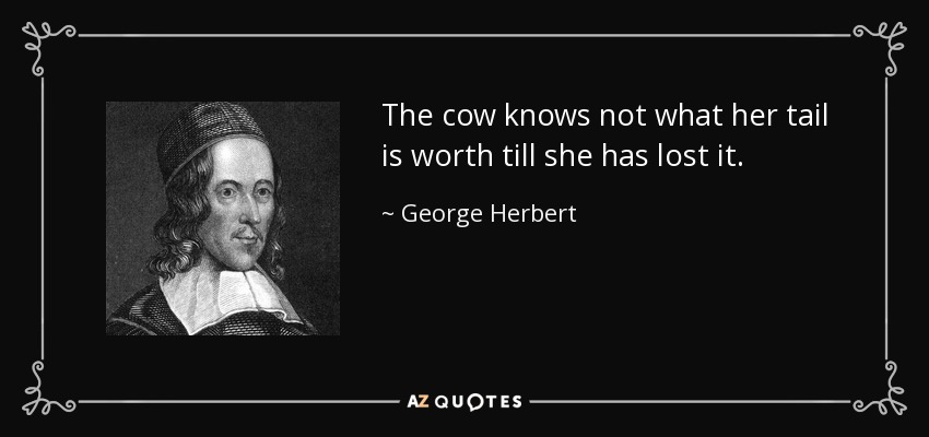 The cow knows not what her tail is worth till she has lost it. - George Herbert