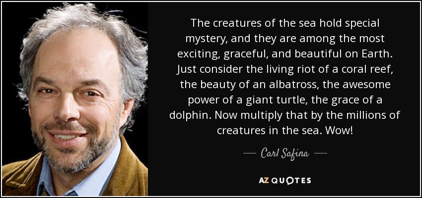 The creatures of the sea hold special mystery, and they are among the most exciting, graceful, and beautiful on Earth. Just consider the living riot of a coral reef, the beauty of an albatross, the awesome power of a giant turtle, the grace of a dolphin. Now multiply that by the millions of creatures in the sea. Wow! - Carl Safina