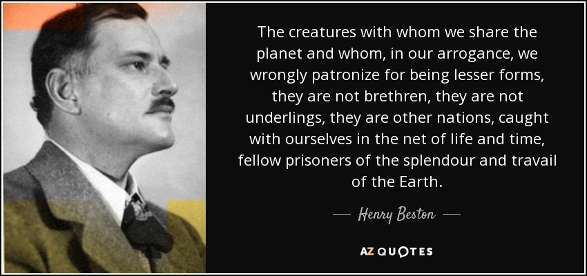 The creatures with whom we share the planet and whom, in our arrogance, we wrongly patronize for being lesser forms, they are not brethren, they are not underlings, they are other nations, caught with ourselves in the net of life and time, fellow prisoners of the splendour and travail of the Earth. - Henry Beston