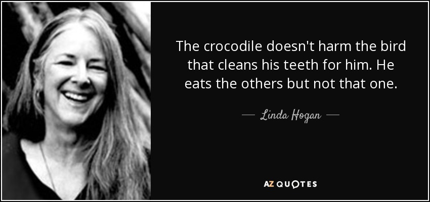 The crocodile doesn't harm the bird that cleans his teeth for him. He eats the others but not that one. - Linda Hogan
