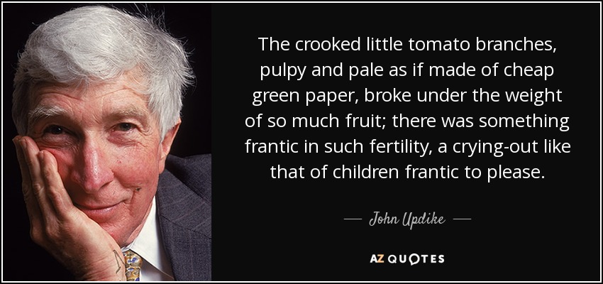 The crooked little tomato branches, pulpy and pale as if made of cheap green paper, broke under the weight of so much fruit; there was something frantic in such fertility, a crying-out like that of children frantic to please. - John Updike