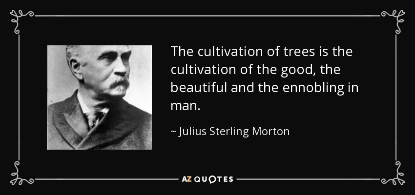 The cultivation of trees is the cultivation of the good, the beautiful and the ennobling in man. - Julius Sterling Morton