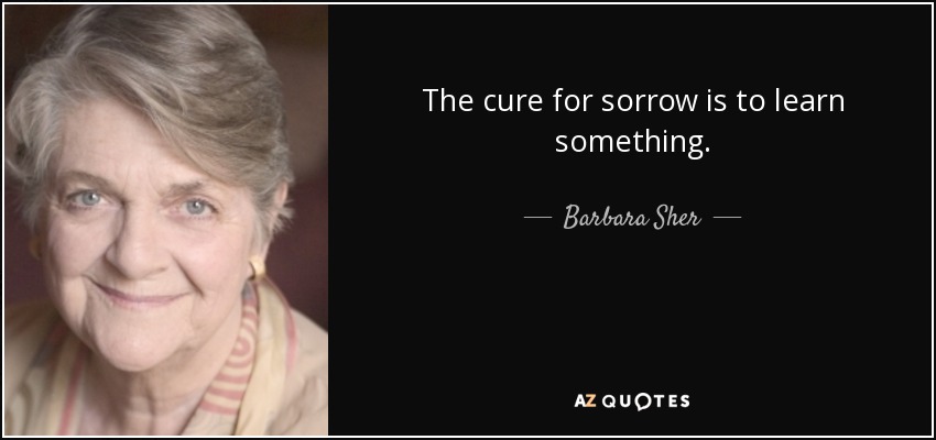 The cure for sorrow is to learn something. - Barbara Sher
