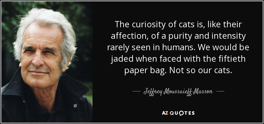 The curiosity of cats is, like their affection, of a purity and intensity rarely seen in humans. We would be jaded when faced with the fiftieth paper bag. Not so our cats. - Jeffrey Moussaieff Masson